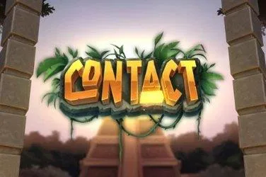 Contact