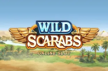 Wild Scarabs